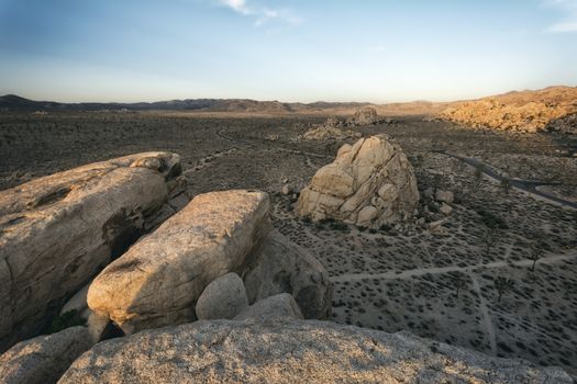 Landscape in Joshua Tree National Park, California