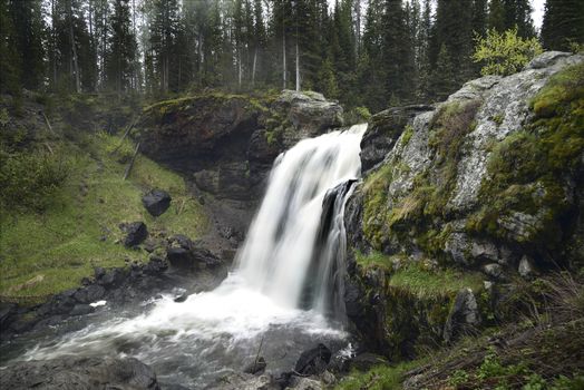 Moose Falls in Yellowstone National Park. Small waterfall near the southern park gates of Yellowstone.