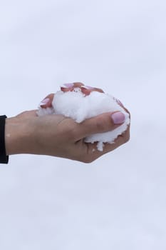 girl with beautiful manicure keeps snow on Palm