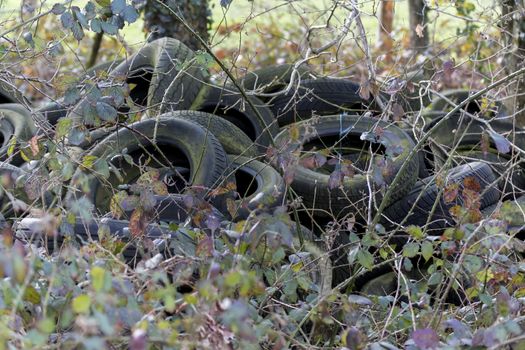 Old tires polluting the nature Environment pollution