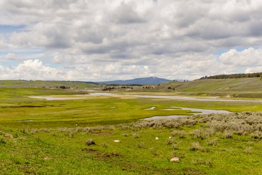Hayden Valley of Yellowstone National Park in summer. Unites States, Wyoming
