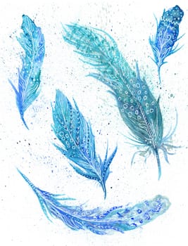 Turquoise watercolor ornamental feather set painting on white background