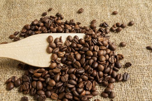 canvas background with coffee roasted grains of white spatula