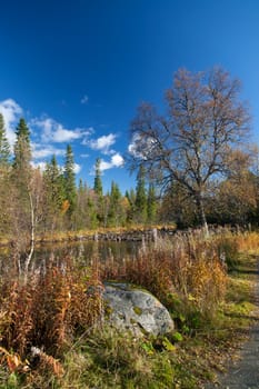 Norway Nature Scandinavian North Travel Landscapes