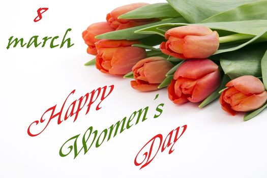Happy Womens Day - red tulips on a white background
