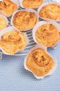 Close up of homemade coconut macaroons, cookie recipe in the oven. Top view with copy space.