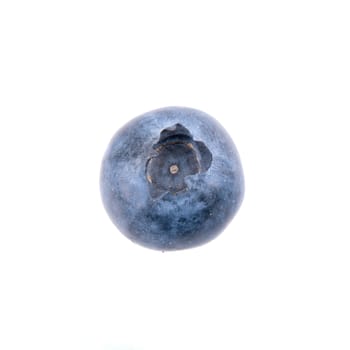 One blueberry isolated on white background