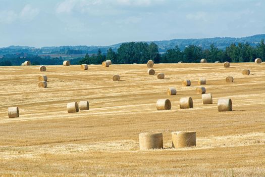 Mowed cornfield with straw bales and mountains in background
