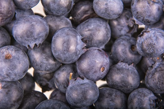 Freshly picked group of blueberries as creative background