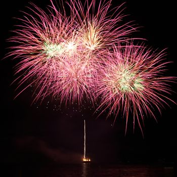 Red colorful fireworks on the black sky background