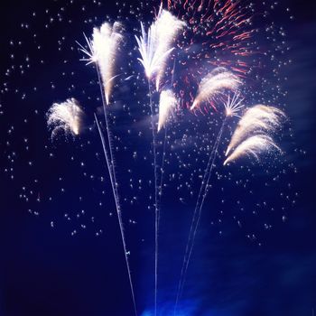 Blue colorful fireworks on the black sky background