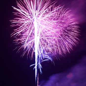 Blue colorful fireworks on the black sky background