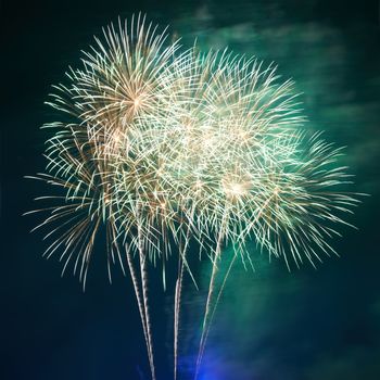 Red colorful fireworks on the black sky background