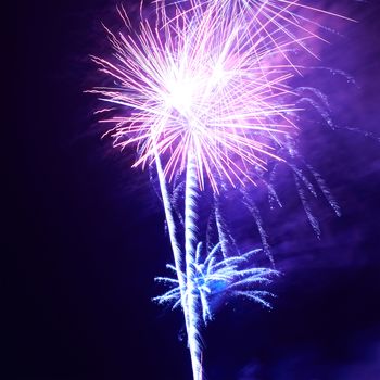 Blue colorful fireworks on the black sky background