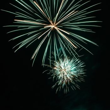 Red colorful fireworks on the black sky background