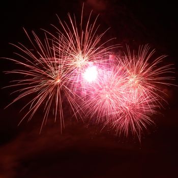 Red colorful fireworks on the black sky background