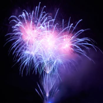 Blue colorful fireworks on the black sky background