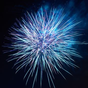 Blue colorful fireworks on the black sky background