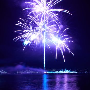 Blue colorful fireworks on the black sky background