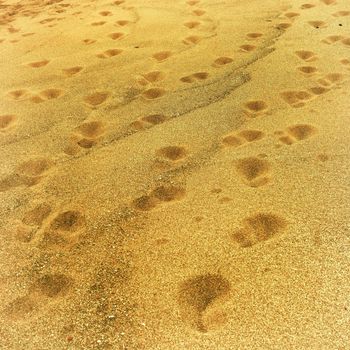 Footprints on sand at the beach