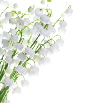 White flowers lilies of the valley isolated on white background