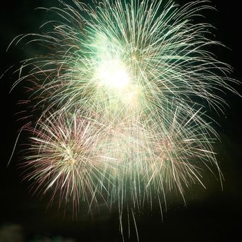 Colorful fireworks on the black sky background