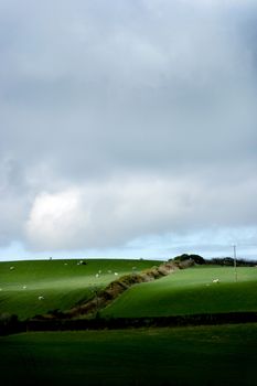 Welsh farmlamd with sheep and a shaft of light