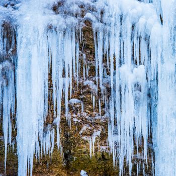 Frozen waterfall of blue icicles on the rock