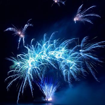 Colorful fireworks on the black sky background