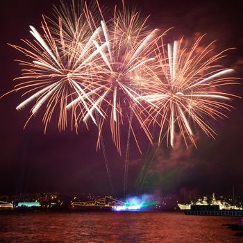 Red colorful fireworks on the black sky background