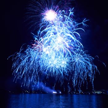 Blue colorful fireworks on the black sky background