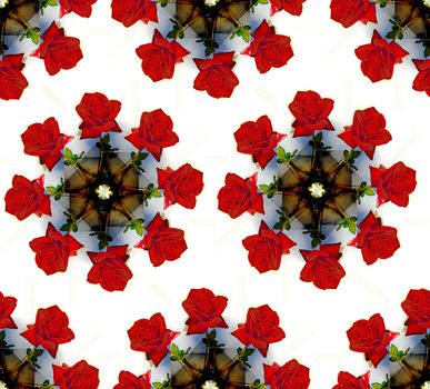 Seamless background of roses in a vase. Circular pattern on a white background