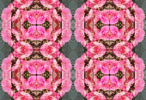 Seamless rectangle flower pattern. Tender pink color