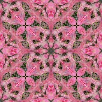 Seamless square flower pattern. Tender pink color