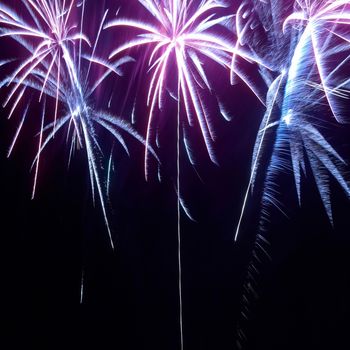 Colorful fireworks on the black sky background