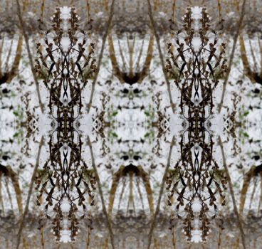 Seamless background pattern. Frost patterns. Nature and Geometry