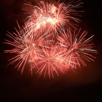 Red colorful fireworks on the black sky background