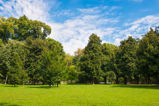 Green lawn with trees in park under sunny light