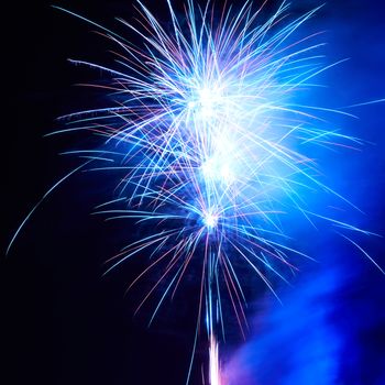 Blue colorful fireworks on the black sky background