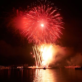 Red colorful fireworks on the black sky background