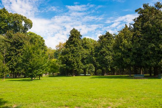 Green lawn with trees in park under sunny light