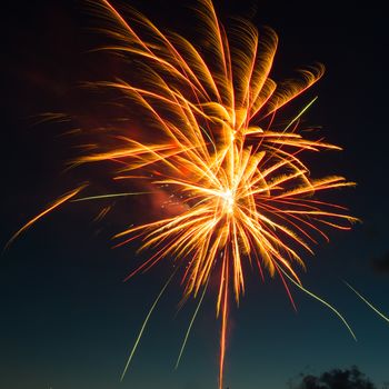 Red colorful fireworks on blue sky background