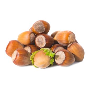 Pile of filbert nuts with green leaf isolated on white