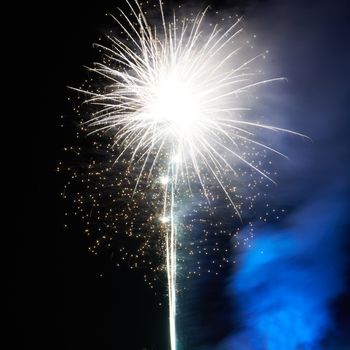 Colorful fireworks on the black sky background