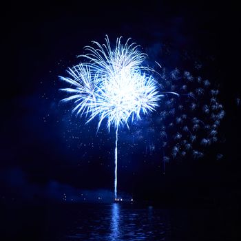 Blue colorful fireworks on the black sky background