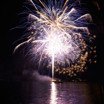 Purple colorful fireworks on the black sky background