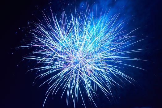 Blue colorful fireworks on the black sky background