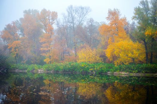 Beautiful autumn forest in the park with lake, yellow and red trees