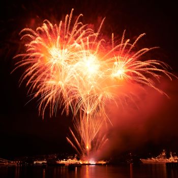 Red colorful fireworks on the black sky background