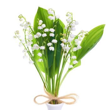 White flowers lilies of the valley isolated on white background